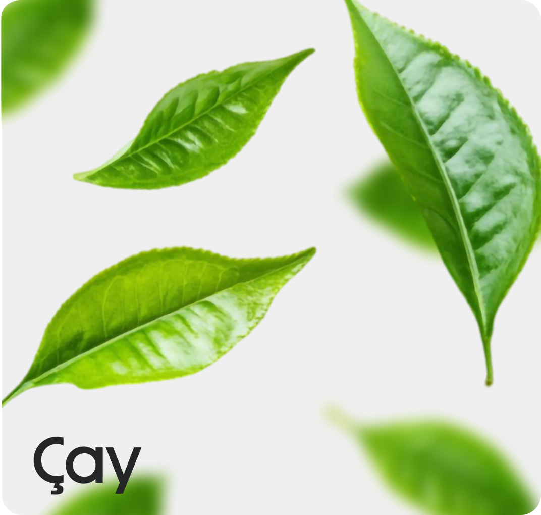 Çay